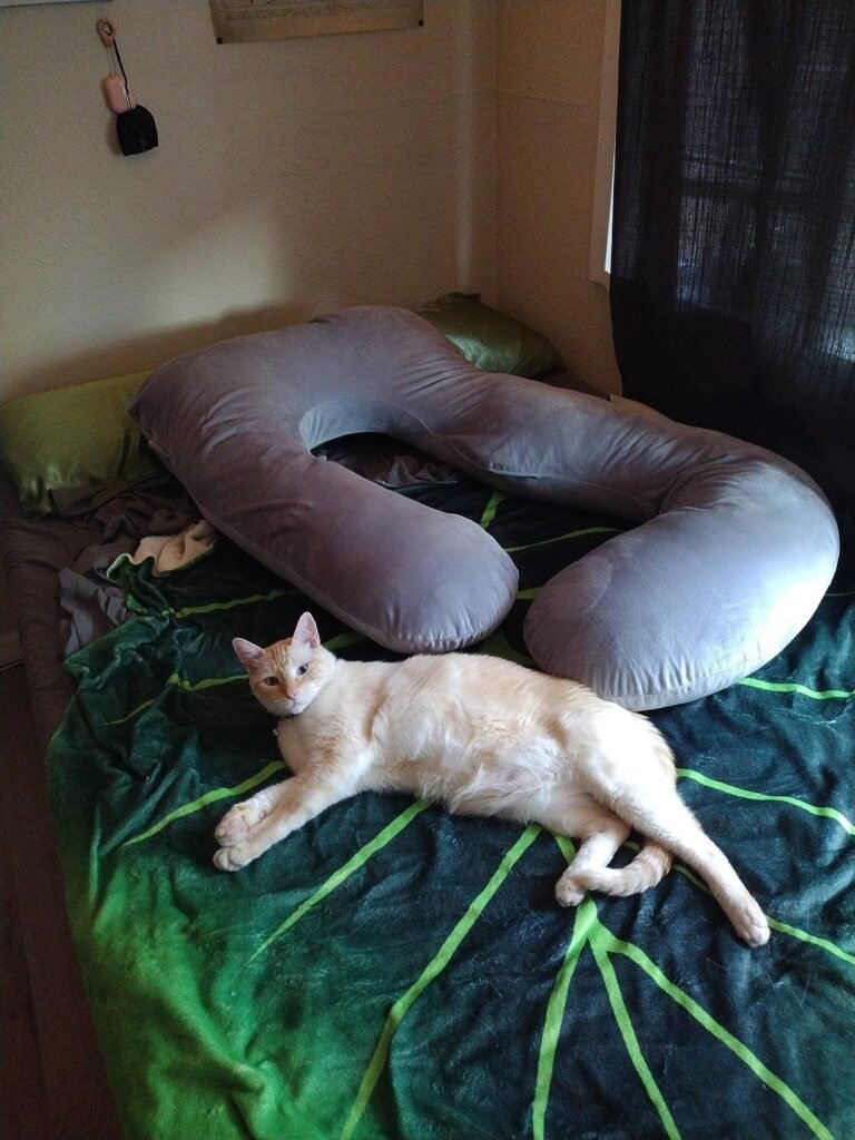 Image #1 from Andrea A.