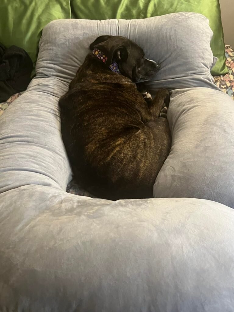 Image #1 from Angela